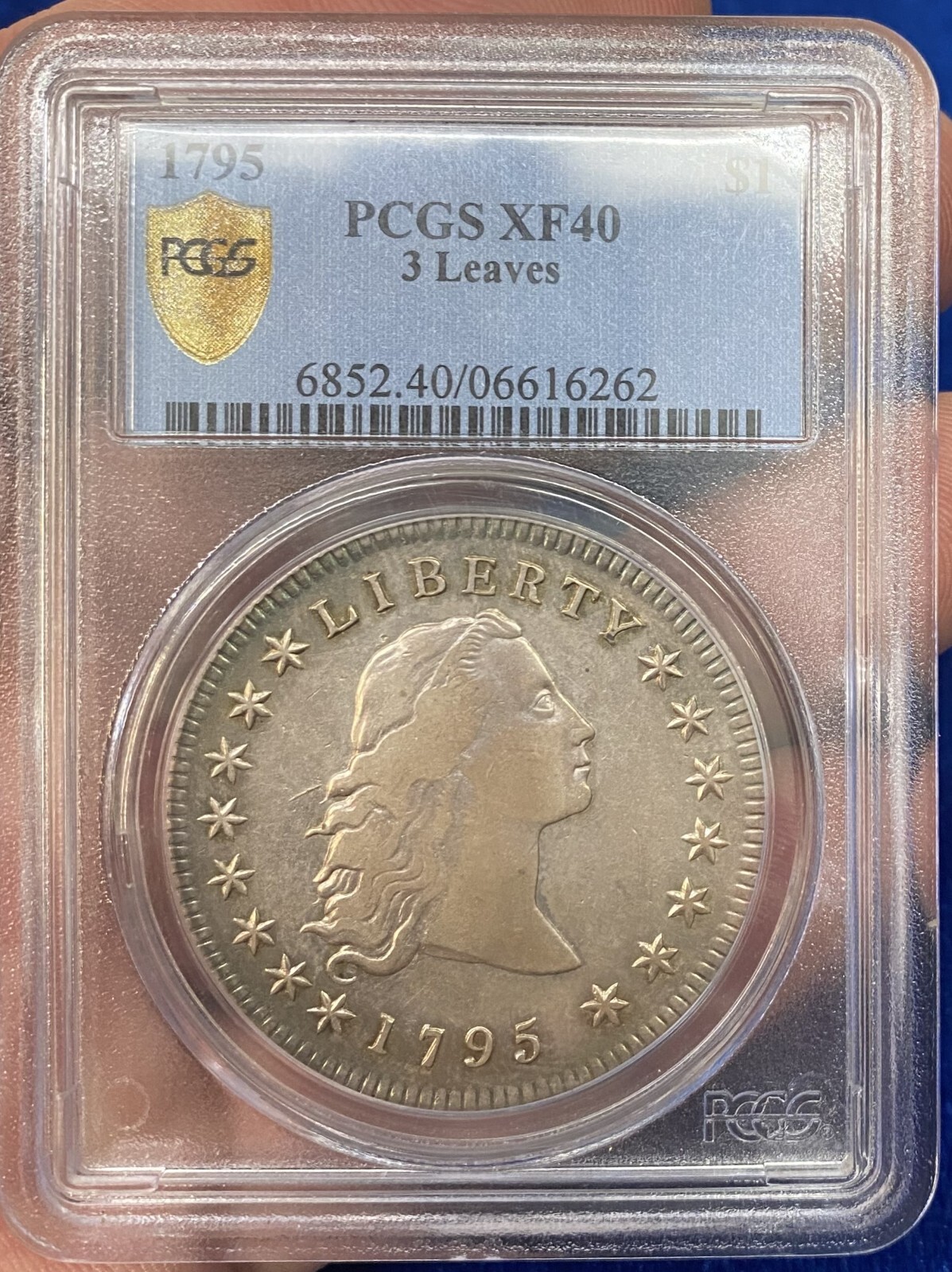 1795 FLOWING HAIR SILVER DOLLAR PCGS XF40 3 LEAVES | eBay