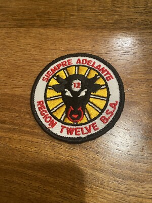 Mint Older Region Ten 10 Boy Scout Reproduction Patch  Plastic Back