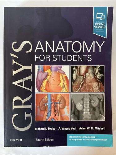 Gray's Anatomy for Students Paperback Fourth Edition