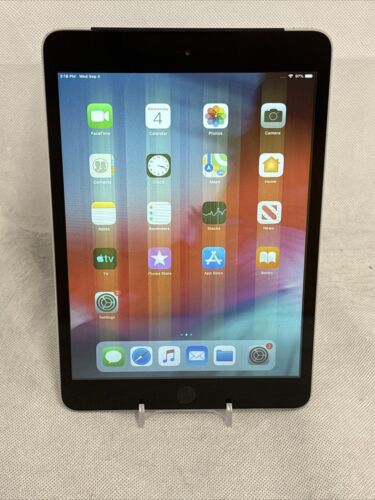 Apple iPad mini 3 16GB, Wi-Fi, 7.9in - Space Gray *Read Description* 888462022224 | eBay Apple iPad mini 3 16GB, Wi-Fi, 7.9in - Space Gray *Read Description* 888462022224 | eBay