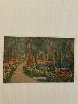 Cypress Gardens In Charleston, South Carolina  Posted 1947