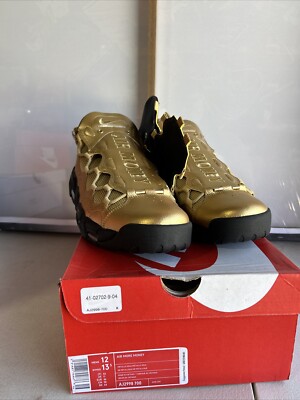 Nike air more money