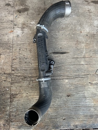 Coco $_12.JPG?set_id=880000500F