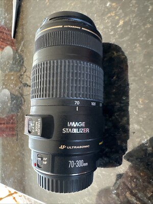 Canon EF 70-300mm f/4-5.6 IS USM Telephoto Zoom Lens