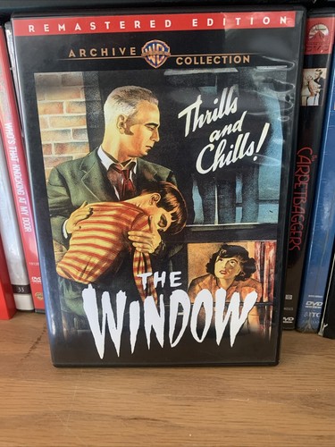 Amazon.com: The Window [DVD] : Kanza Zia, Faran Tahir