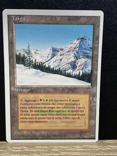 taiga mtg １枚　プレイド $_12.JPG?set_id=880000500F