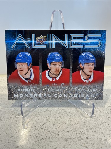 $_12.JPG?set_id=880000500F