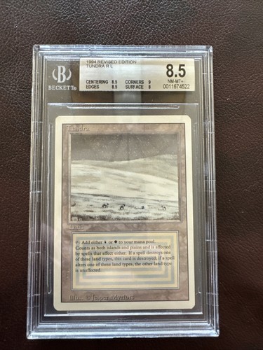 マジック：ザ・ギャザリング - BGS6 Tundra 2ED EN Tundra》[2ED] 土地R | 日本最大級 MTG通販サイト「晴れる屋」