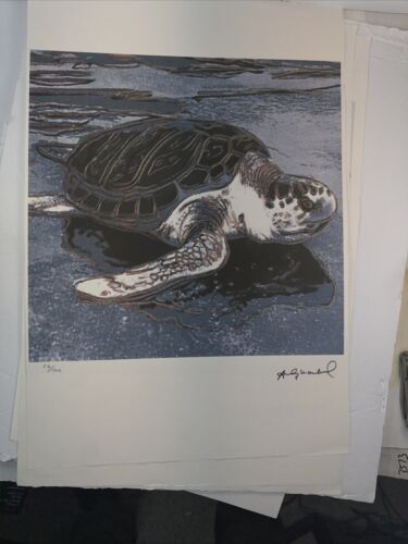 Andy Warhol turtle 3D Litho22 In X 16 In Signed,embossed And Andy Warhol turtle 3D Litho22 In X 16 In Signed,embossed And