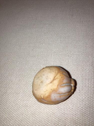 LONGABERGER LIKE DRESDEN AND COMPANY S/3 CERAMIC PUMPKIN MUNCHKINS BRAND NEW