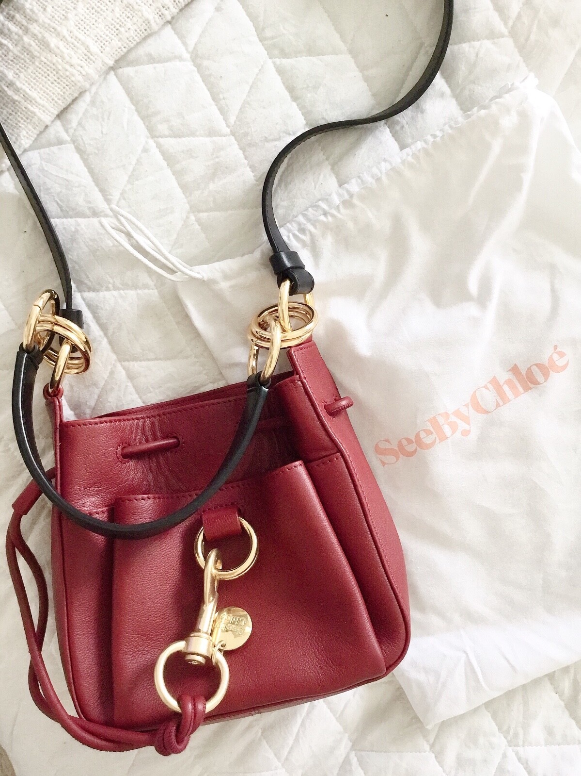 chloé roy small leather bucket bag