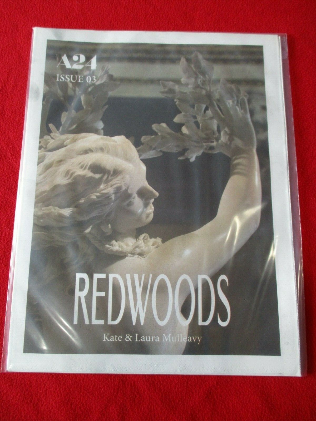A Magazine  11 ： Curated by Rodarte A Magazine curated by Rodarte - N°11 - 2011 - Saint-Martin