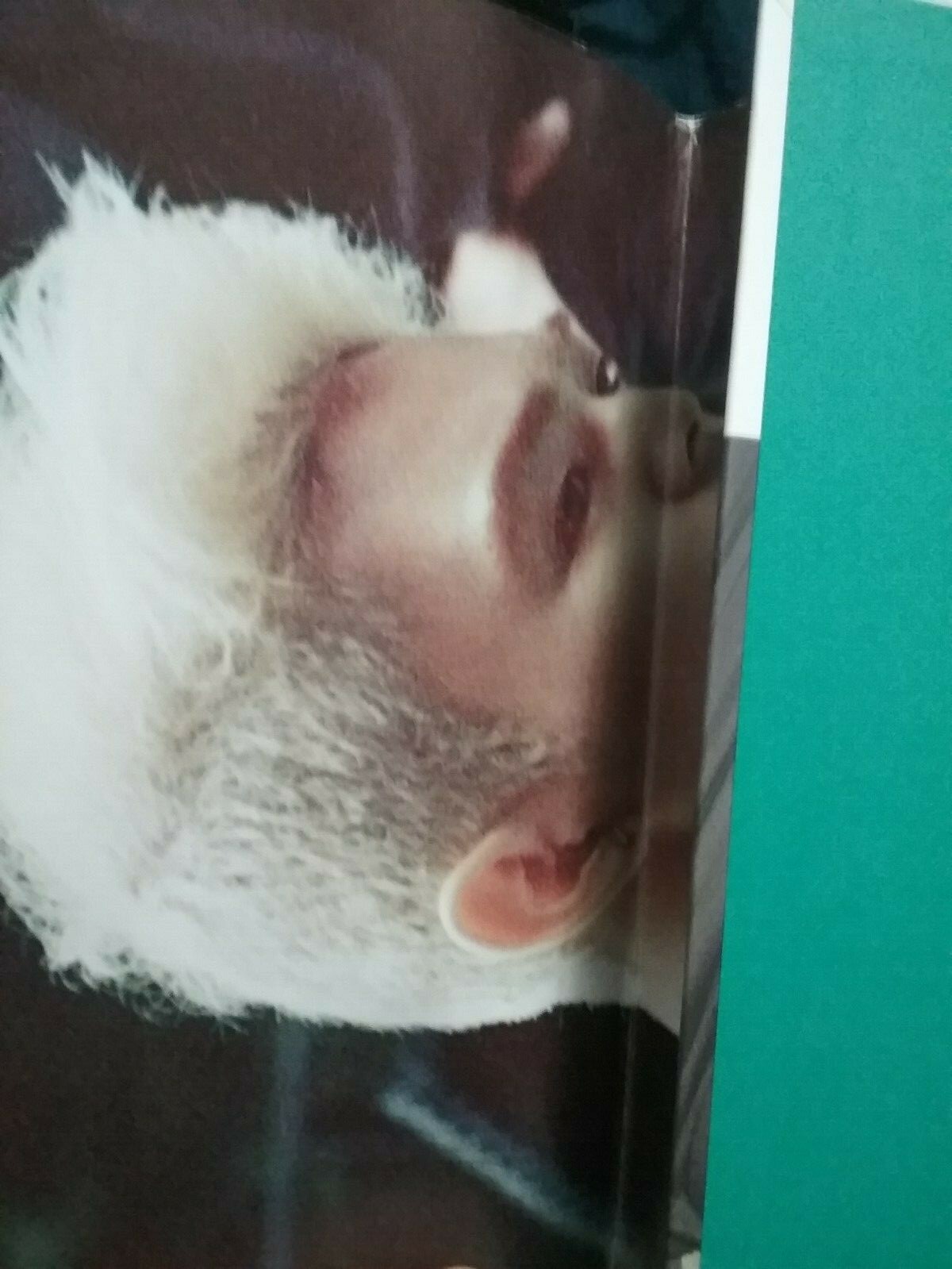 NU'EST all member signed CD