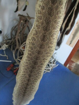 rattlesnake skin prairie rattle snake hide DRY TANNED wrap pen blanks 29 in.D4