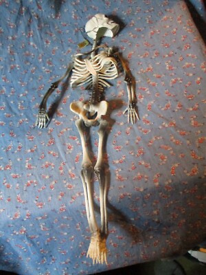 c. (1097)  Vintage NOS Russ Berrie Rubber Skeleton Dangly  13'' High Halloween