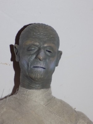 Universal Studios Monsters The Mummy 12