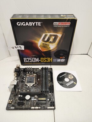 GIGABYTE B250M-DS3H Socket 1151 B250 DDR4 Motherboard  #2313