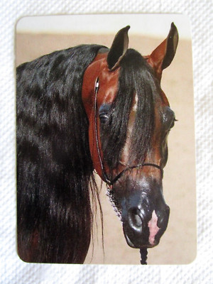 HORSE SWAP CARD~MODERN NEW~ARABIAN GLAMOUROS DEEP BAY#6 MUCH NICER THAN PIC