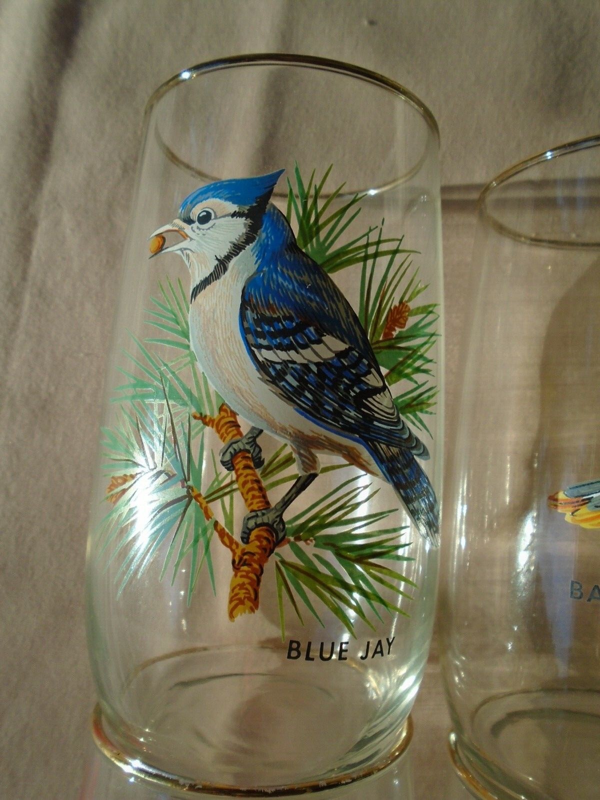 six clear antique drinking grasses with hand painted birds