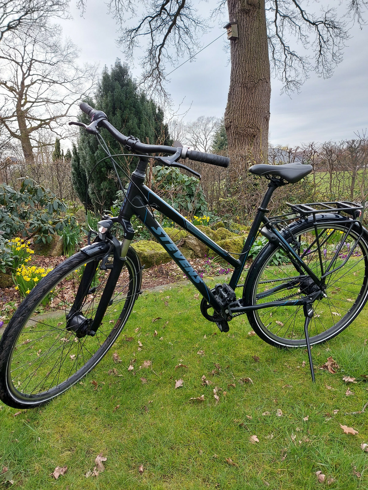 Damen- Trekkingrad Stevens Boulevard Luxe