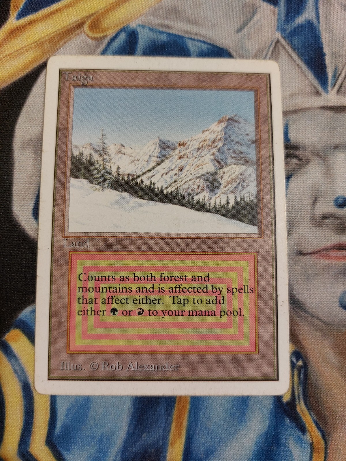 Taiga MTG Unlimited Rare Land Heavily Played x1 GG3 | eBay