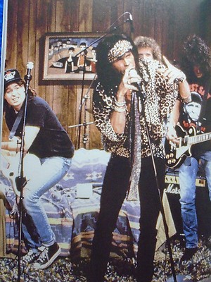 ~~ AEROSMITH HARD ROCK SUPERSTARS ~ AN UNAUTHORIZED ROCKOGRAPHY ~ 2011 ~~