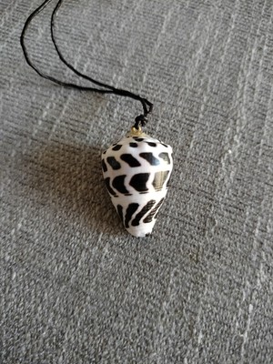 Hawaiian Hebrew Cone shell cotton necklace 