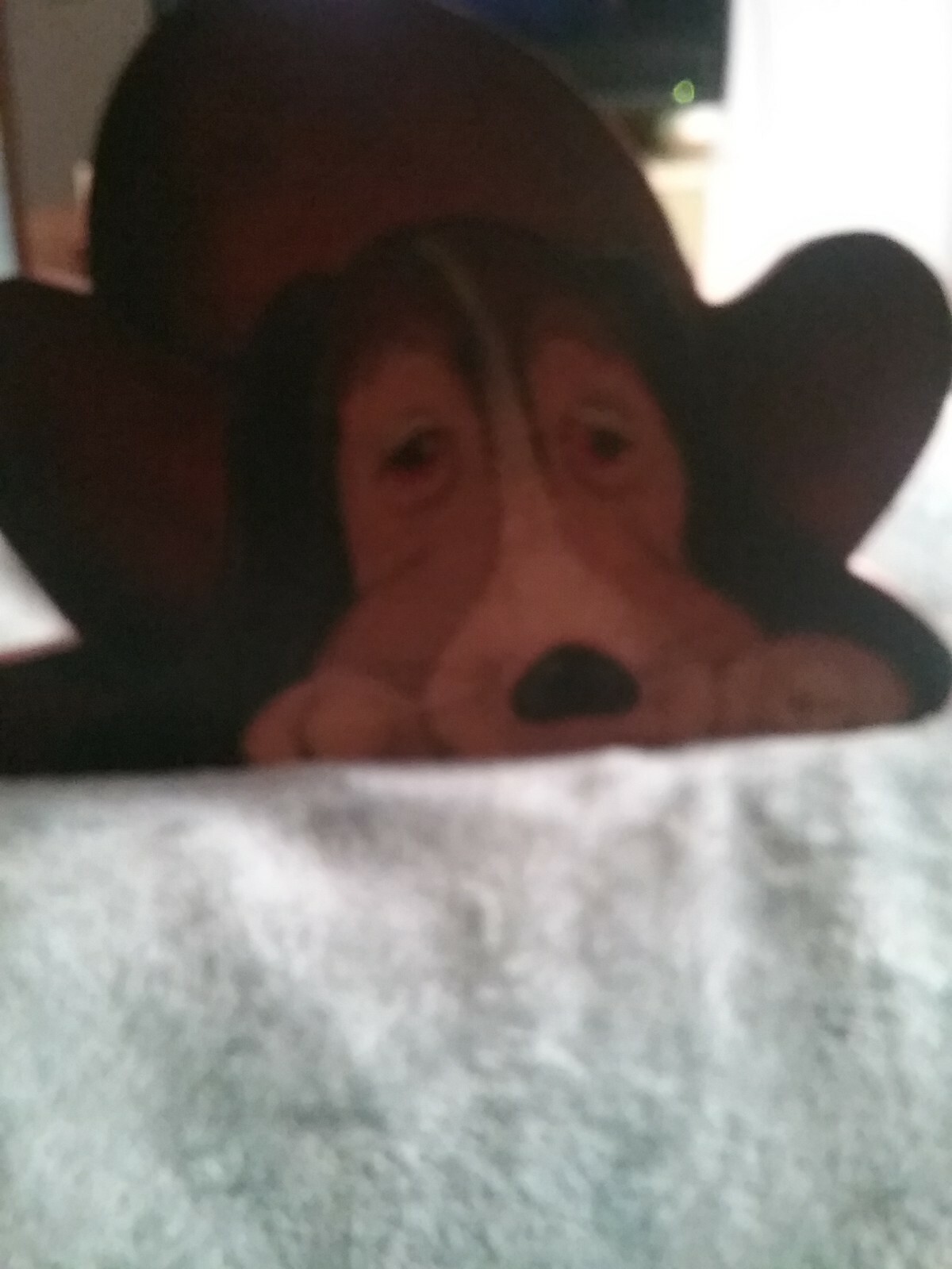 Hand Made and Painted Wood Dog Door Stopper.