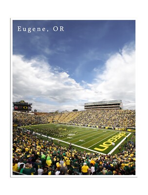 Oregon Ducks Poster Stadium Art Print University Gift 16x20''