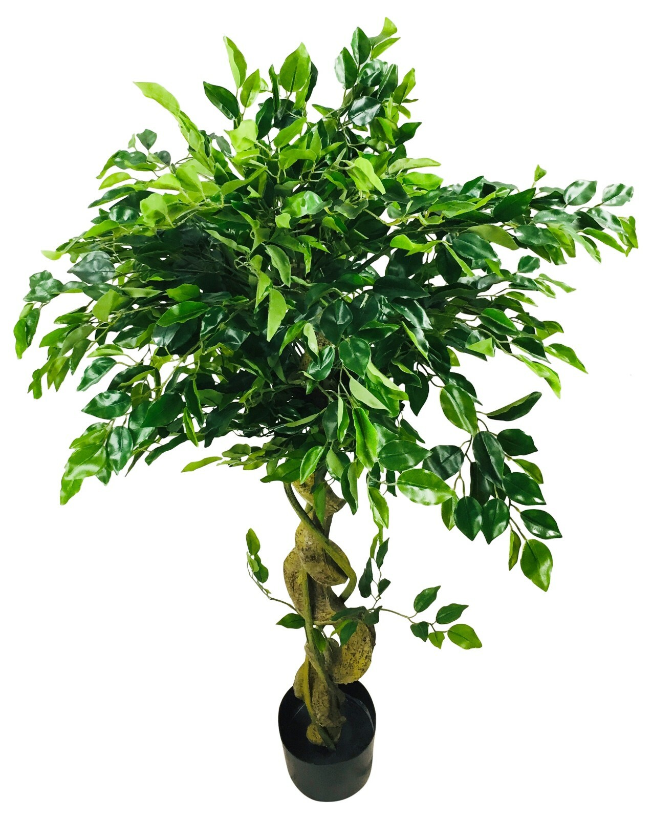Trunk plant Idea