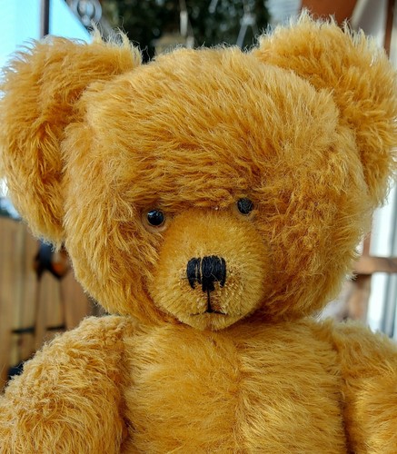 Alter Diem-Teddy mit niedlicher Ausstrahlung 