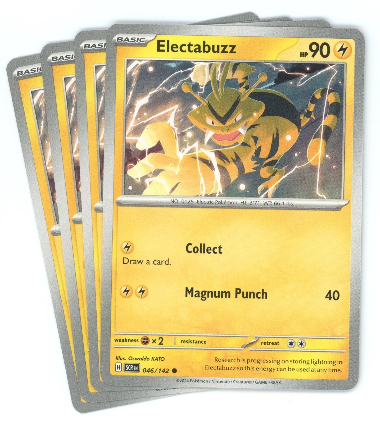 ポケモンカード】エレブー Electabuzz プロモ 海外版 英語版