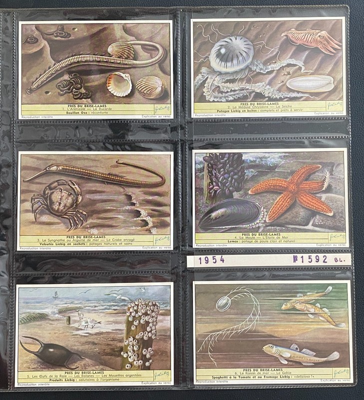 6 Chromos Belges   Numero S1592  Pres Du Brise Lames  1954