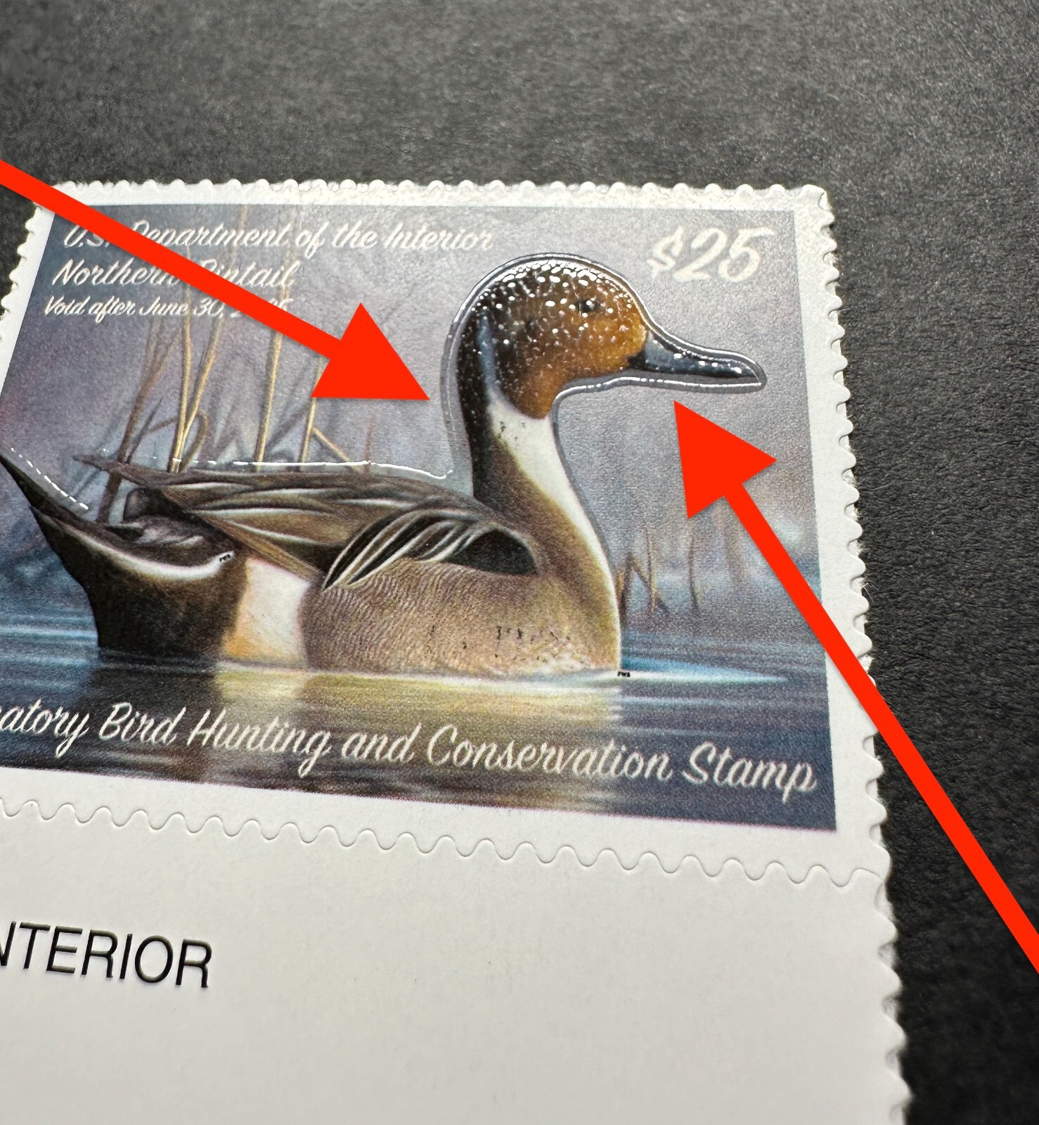 Deluxe Constable Duck — BudDuck.com