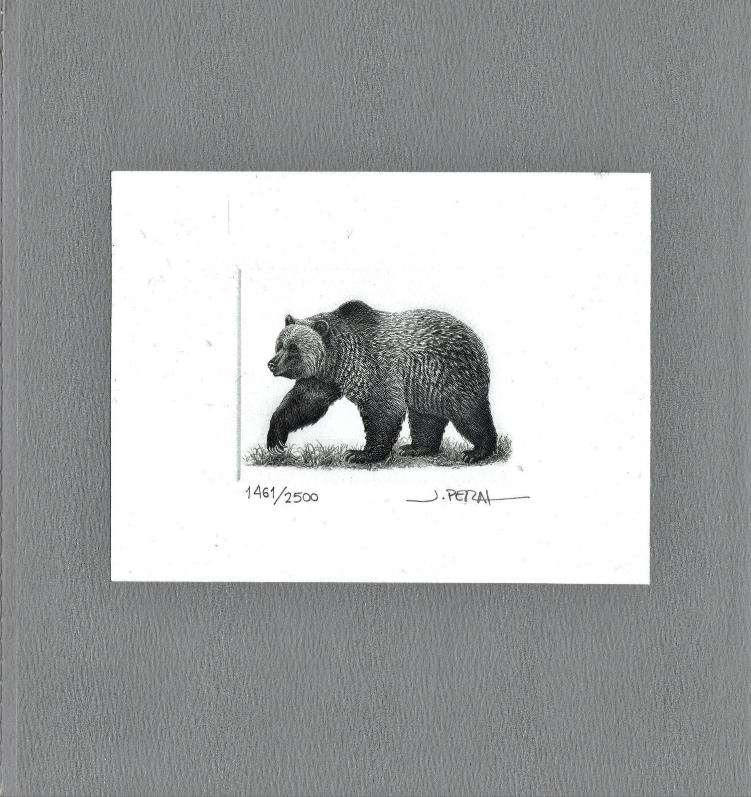 1997 Canada “$8 GRIZZLY BEAR” Commemorative Set - Limited Edition Engraved Print