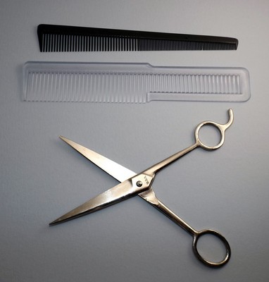 Hair Cutting Shears / Scissors 2
