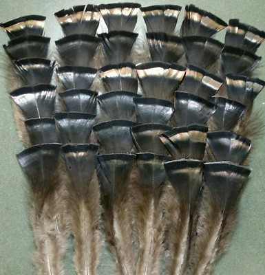 48 Wild Merriam All Black Back Feathers 3 1/2-7'' - Fly Tying, Arts & Crafts
