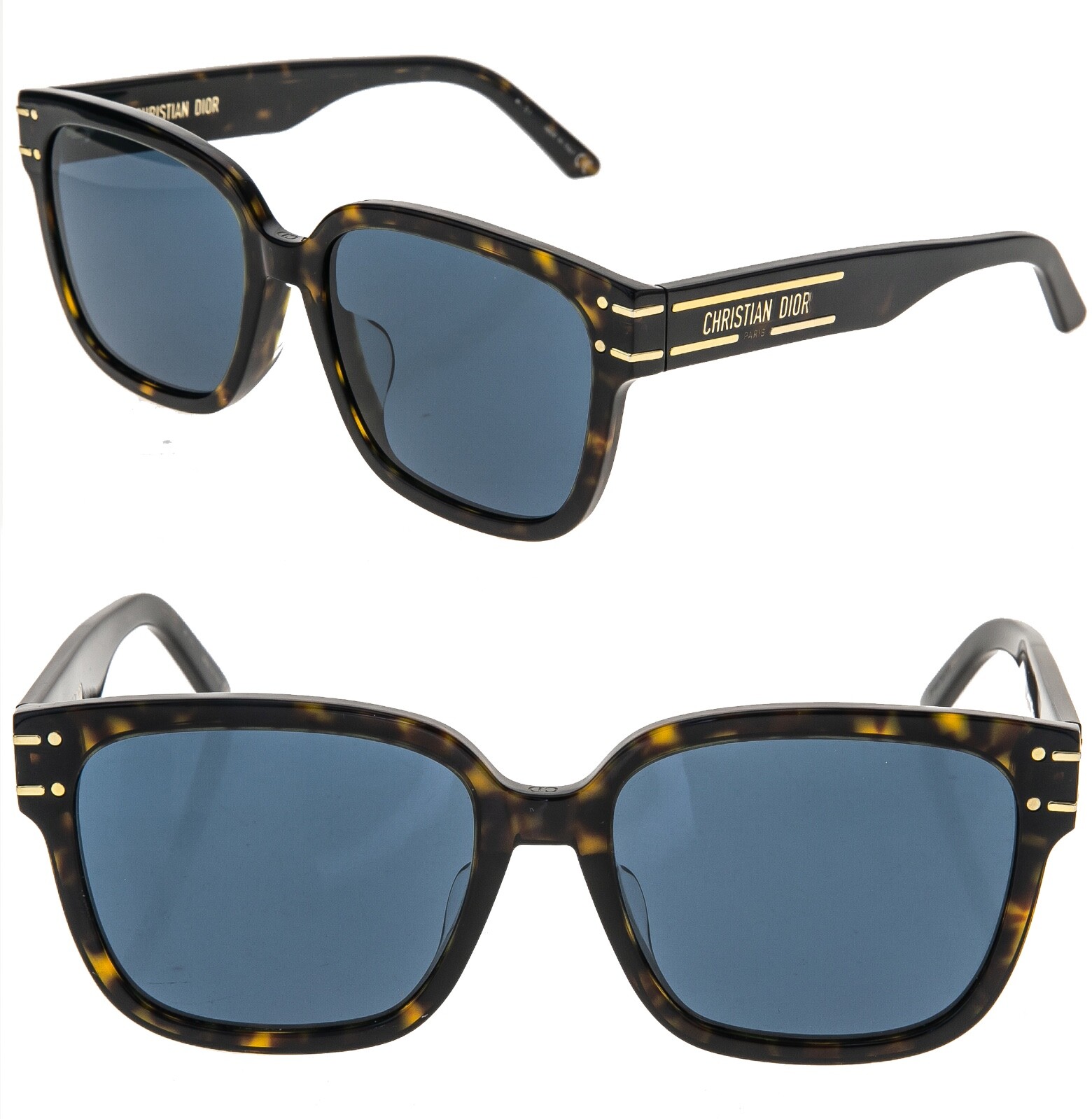 CHRISTIAN DIOR SIGNATURE Brown Blue DIORSIGNATURE S7F Cat