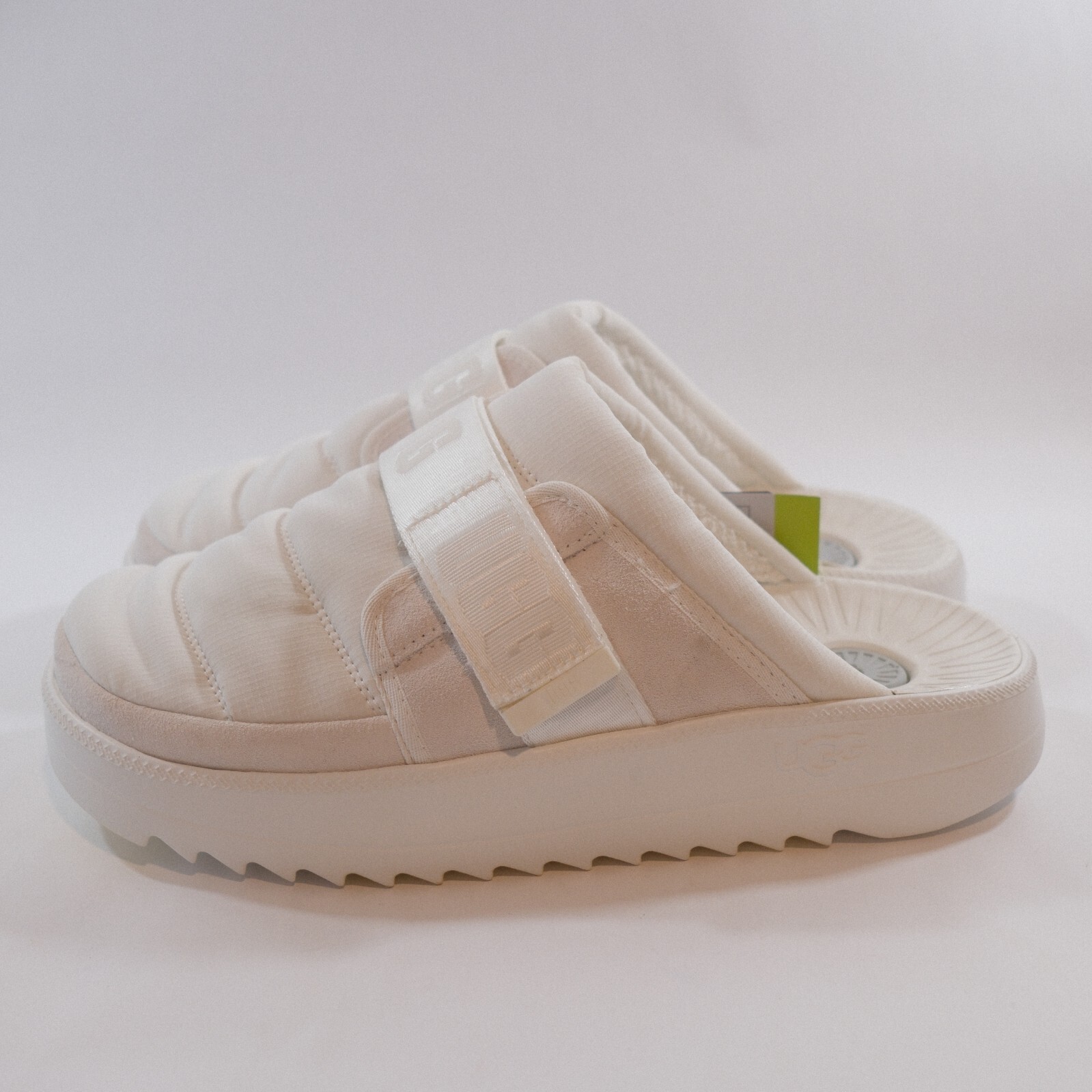 【UGG】モカシン UGG Tazz Slipper Mustard Seed Women's Sizing | 1122553-MDSD