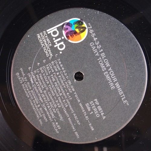 ABSOLUTE POWER レコード LP ハードコア ABSOLUTE POWER (LP