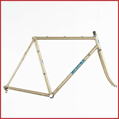 campagnolo frame