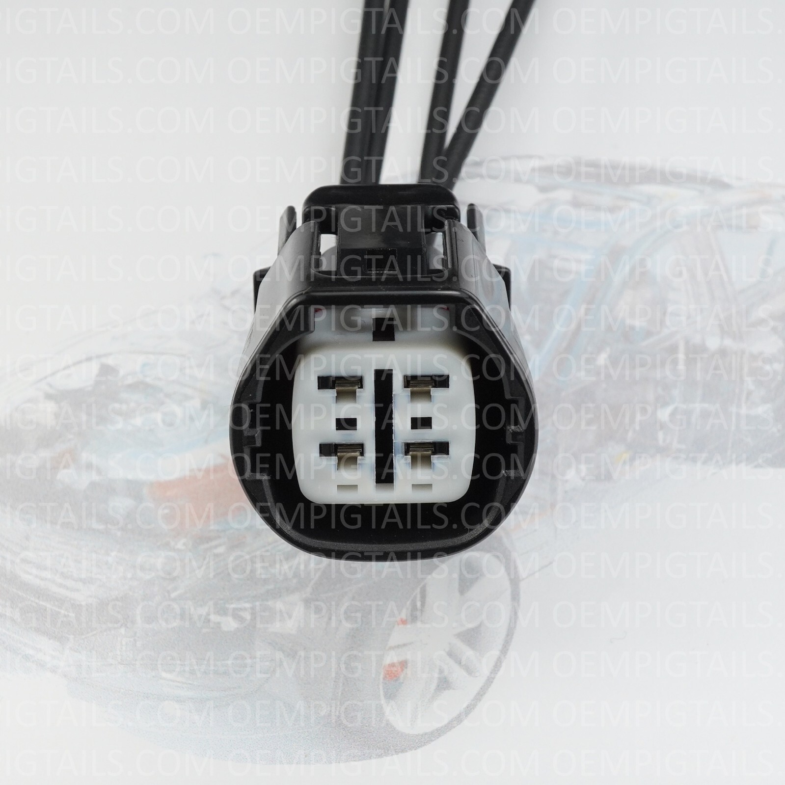 2007 パチリス トランステール DP パチリス | ポケモンカードゲーム公式ホームページ