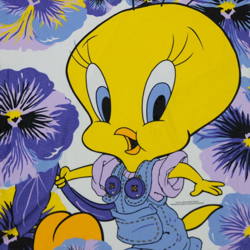 90's USA製　Looney Tunes Tweety sweat VTG 1995 TWEETY BIRD T SHIRT LARGE LOONEY TUNES 90s WARNER