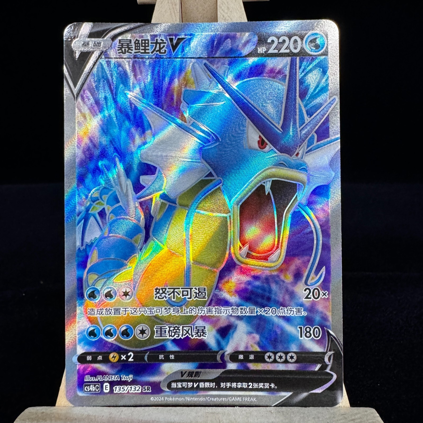 世界254枚 PSA10 ギャラドスV gyarados 2021 53 世界254枚 PSA10 ギャラドスV gyarados 2021 53 254 Copies Of