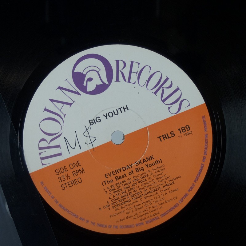 BIG YOUTH: Everyday Skank Best Of UK Trojan Reggae Vinyl LP | eBay