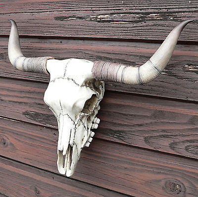 Schädel Bullenschädel Stierschädel Western Skull Horn Country Wacken kaufen 