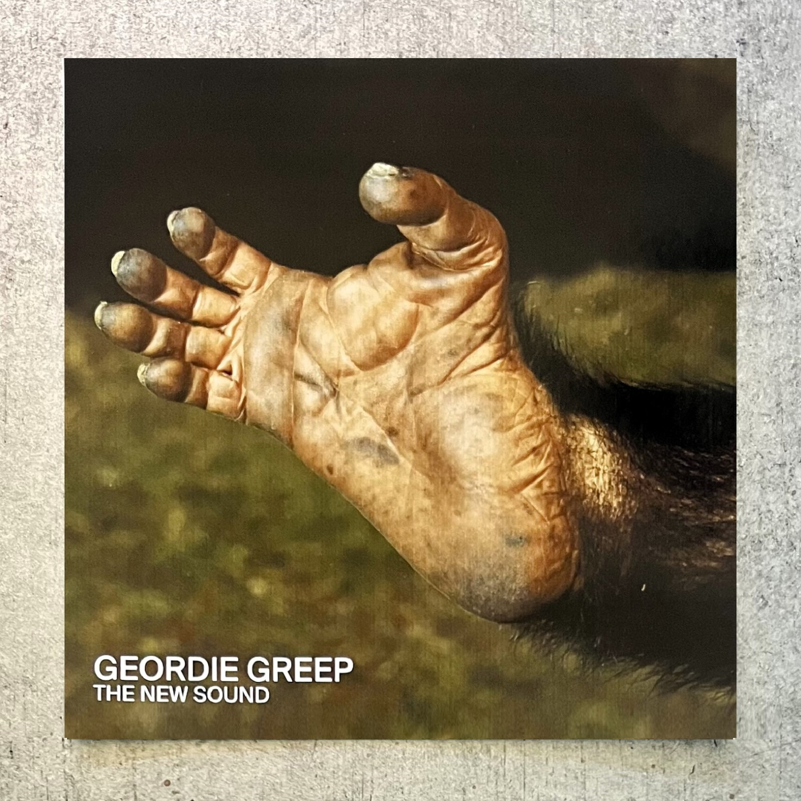 $_57.JPG?set_id=880000500F