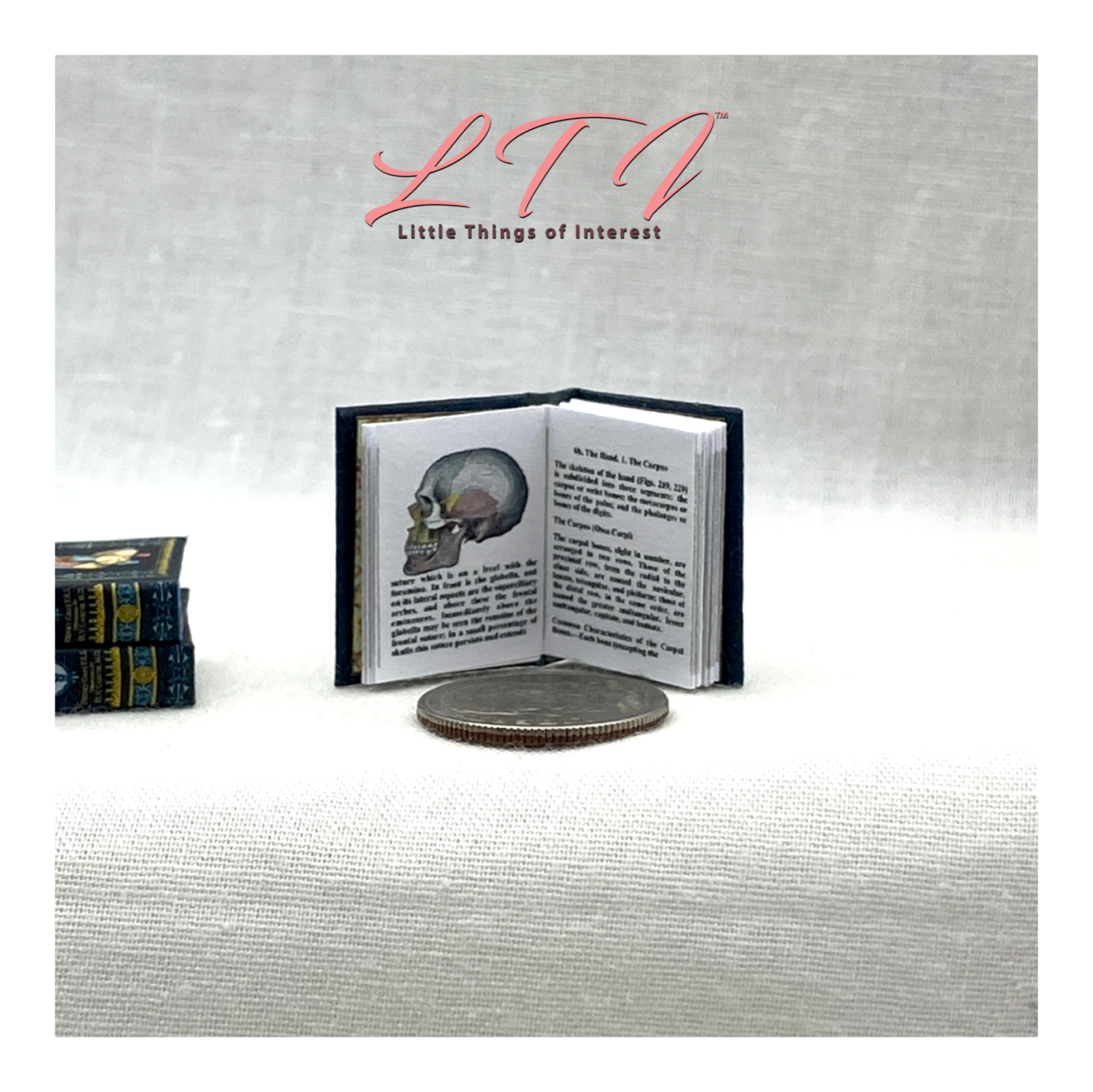 GRAY'S ANATOMY MEDICAL 1:12 Scale Miniature Readable Illustrated Book Doctor