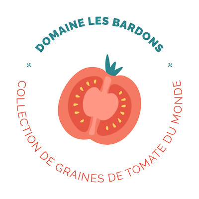 graine / seed tomate taille grosse variété ISPOLIN