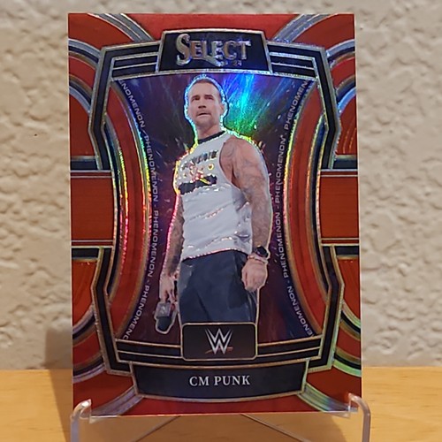 WWE プログラム 2024 $_12.JPG?set_id=880000500F